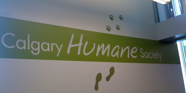 Calgary Humane Society wall vinyl