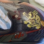 Lion Helmet sticker