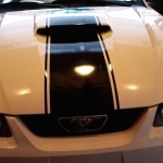 Mustang racing stripe install