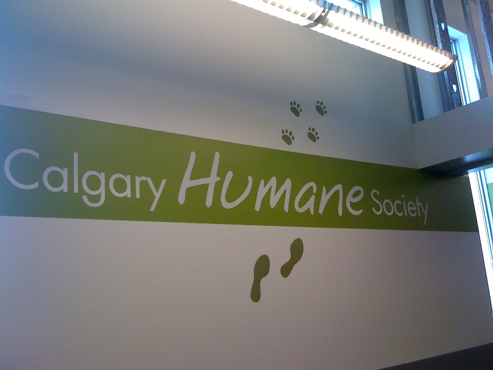 Calgary Humane Society wall vinyl