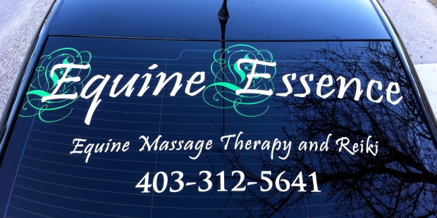 AIRBOY Tuning, Equine Essence