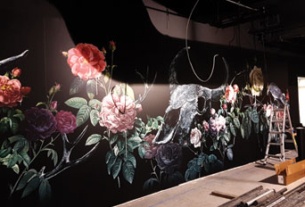 Signs & Printed Graphics